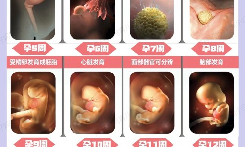怀孕4个月做引产手术需要多少钱-怀孕4个月做引产危险吗网-分享4个月了做引产受罪吗，怀孕四个月做引产危险吗知识库