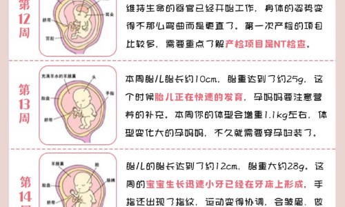 怀孕4个月做引产危险吗网-分享4个月了做引产受罪吗，怀孕四个月做引产危险吗知识库