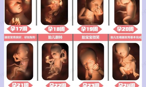 怀孕4个月做引产危险吗网-分享4个月了做引产受罪吗，怀孕四个月做引产危险吗知识库